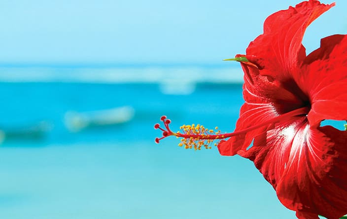 OCEANIA CRUISES UNVEILS 2021-22 TROPICS AND EXOTICS VOYAGES - New Value Added Exclusives, New Ports, and 75 Brand New Itineraries