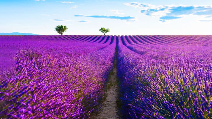 Provence France