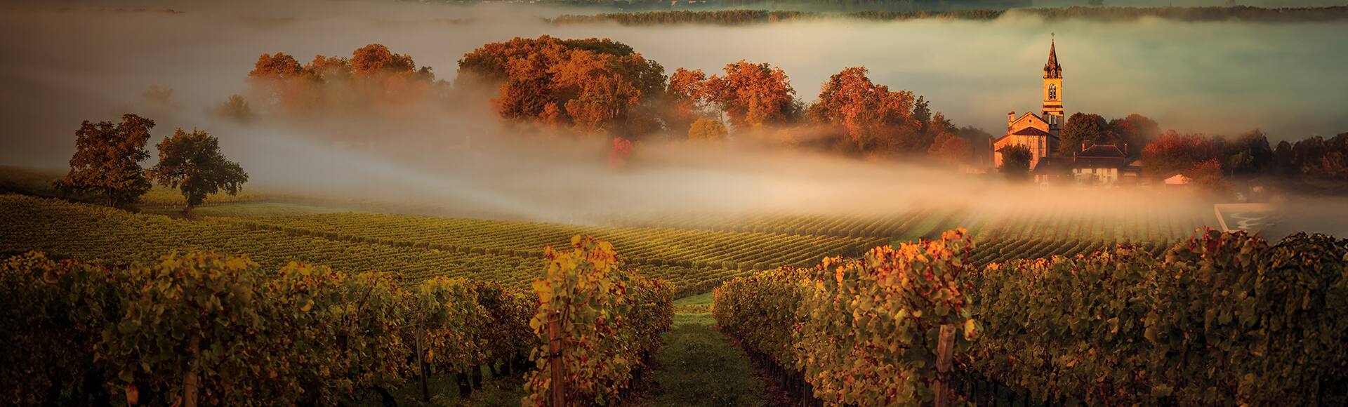 Exceptional Savings, Up to 40% off. Cruises to Bordeaux, France