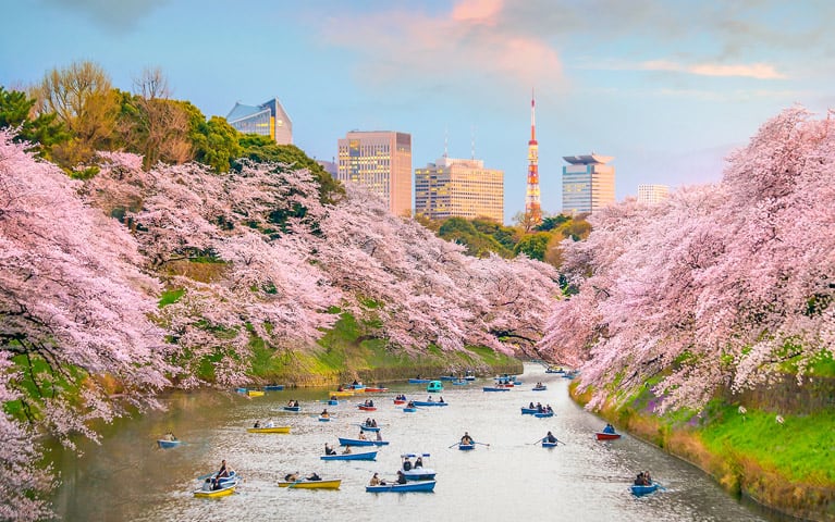 Oceania Cruises to Tokyo, Japan