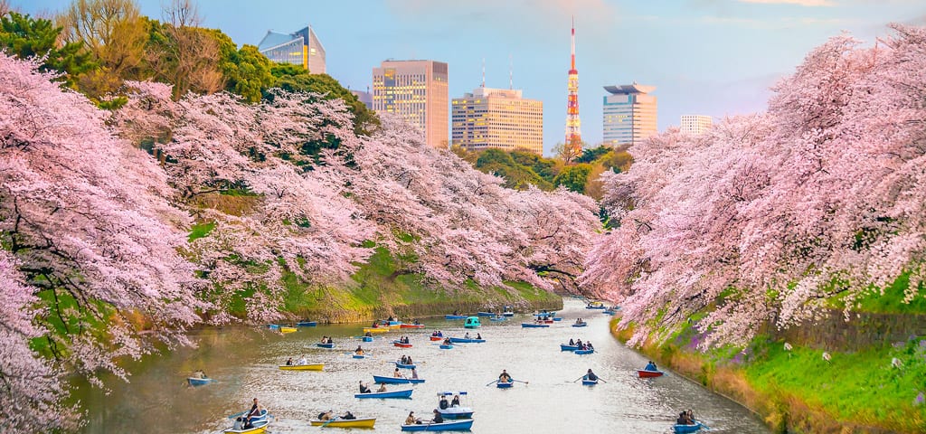 Oceania Cruises to Tokyo, Japan