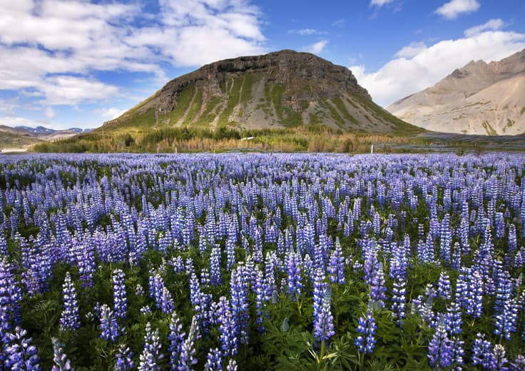 Isafjordur-Iceland