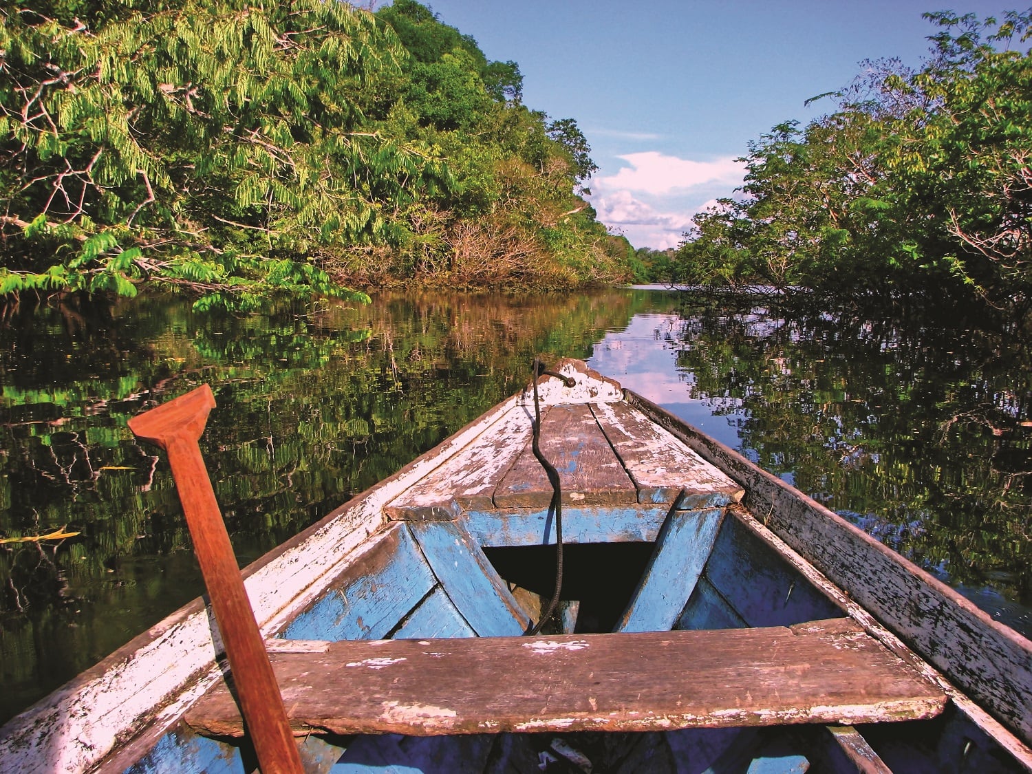 Manaus.jpg