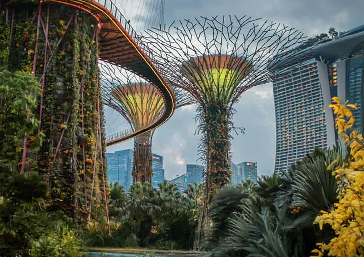 sin-singapore-singapore